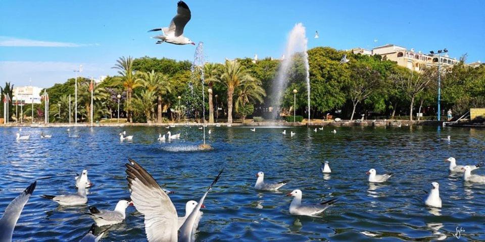 Апартаменты Torrevieja Experience Mar Azul Экстерьер фото